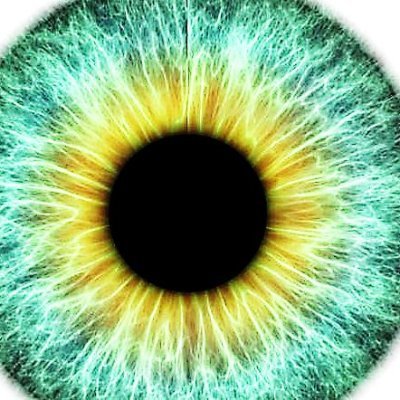 …and the answer is 42?