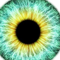 …and the answer is 42?