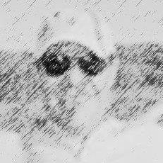 Waggie 🇧🇷🇮🇱🇺🇸