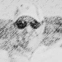 Waggie 🇧🇷🇮🇱🇺🇸