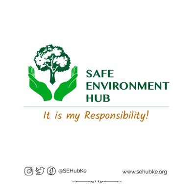 Safe Environment Hub (SEHub)
