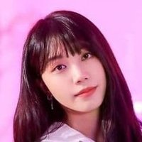 Panda🐰🐥🐶😺🦅🍞