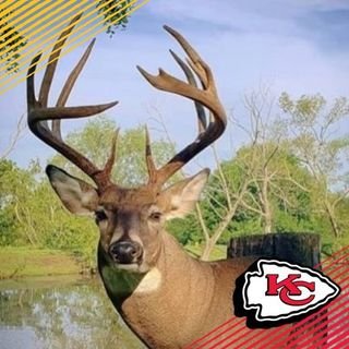 Rodger🎄🦌🚜 🦃