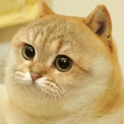 lidang 立党 （全网劝人卖房、劝人学CS、劝人买SP500和NASDAQ100第一人）