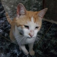 Antony R B(Gana Seguidores, #SiguemeYTesigo).