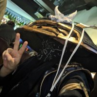 はる＠荒武者の人