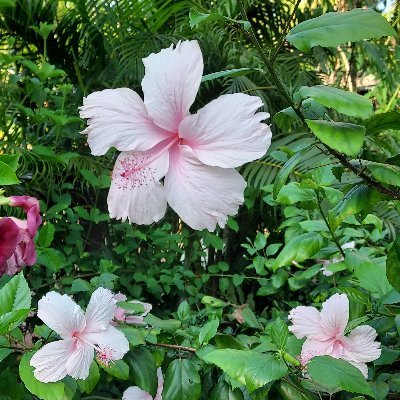 Information Technology