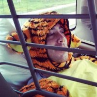 ⿻ patcon (is in Toronto) 🦋 @patcon.bsky.social