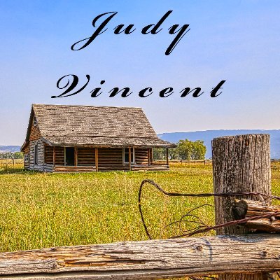 Judy Vincent Photography