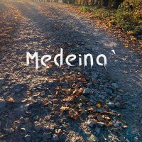 Medeina