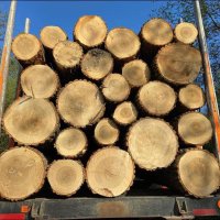 Wentwood Timber Centre