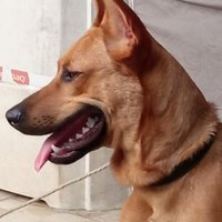 🇧🇷JOSÉ GILBERTO🇧🇷