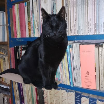 Te lo dije muy clarito