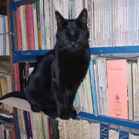 Te lo dije muy clarito