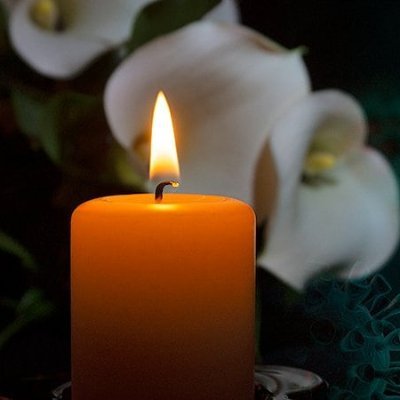 Bebas 🤔lalu🗣️ bknlah 🗣️lalu🤔