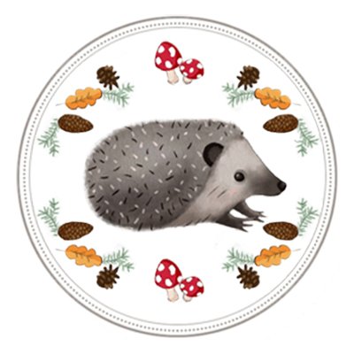 🦔 Erinaceus France