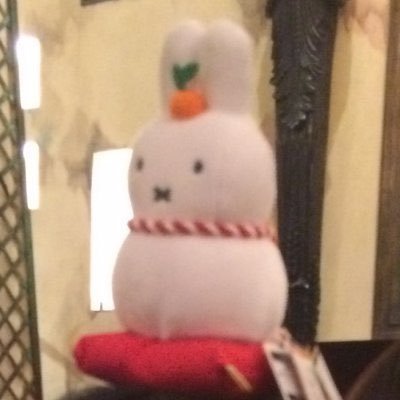 Kira キラ( ᐛ👐)