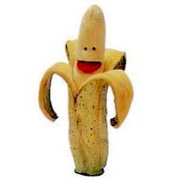 SpicyVegan 💜💚🤍