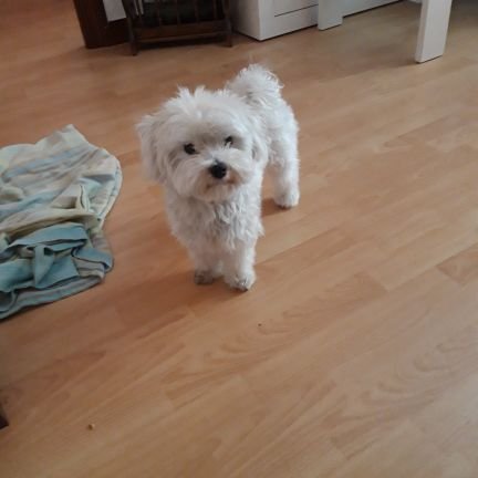 Julian Alberto Vivar