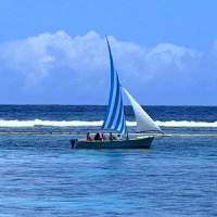 Catherine Osselet 🟠