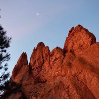 Brigid Tonia, photo credit PatMurphy-Racey