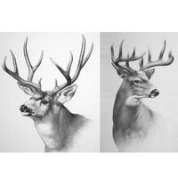 DeerHuntingJournal