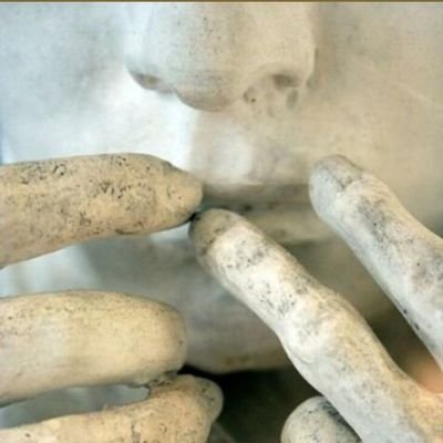 Antonella Amalfitano