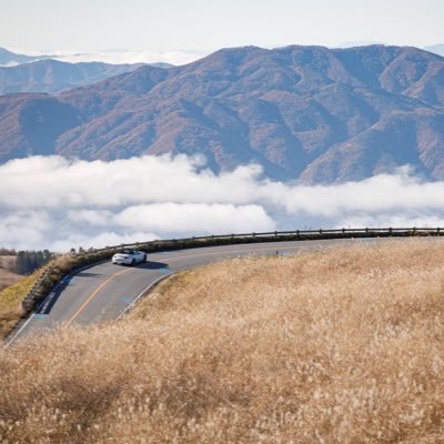 現生人類@前立腺研究開発機構