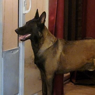 JohnGalt 🇺🇸🇮🇱