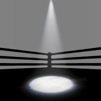 TheSpotlightNews.com