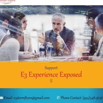 E3 Experience Exposed, LLC