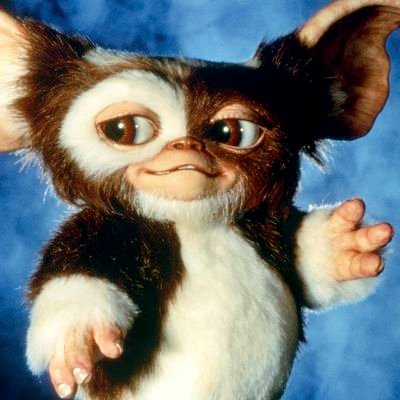 Gizmo
