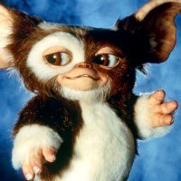 Gizmo