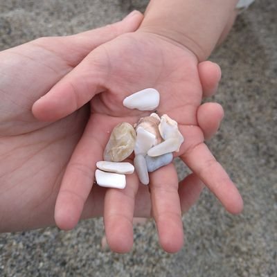 ✰**maso🐕*p®🩵