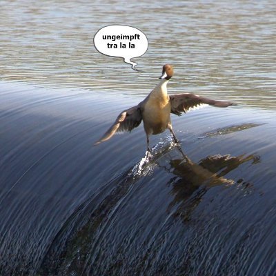 Han Solo 🇩🇪 - ungeimpft 💉 Alles Satire