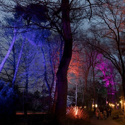 Communicatie Museumpark Orientais