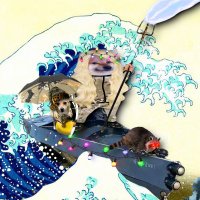 Monika👊🇺🇦🇩🇪🇪🇺Слава Україні!🔱