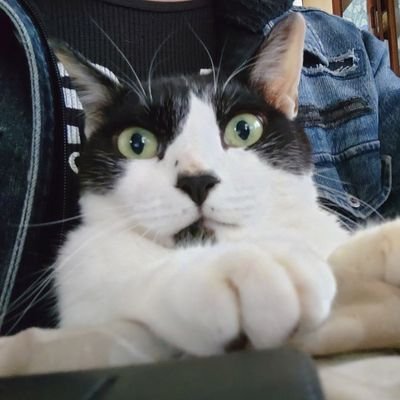 カズマ(かずみゃん)