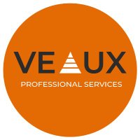 Veaux Professional Services