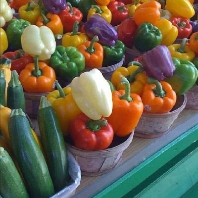 A Graduate Villager.