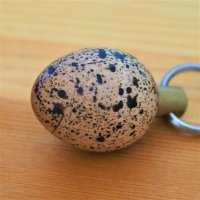 石本 鶉衣 / ISHIMOTO Jun’i