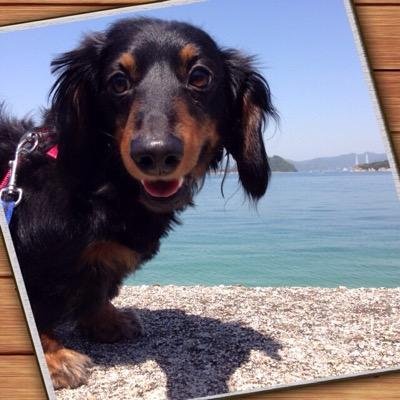 のっ🏎⚡️🇮🇹