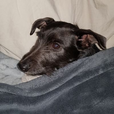 Loulou28Ⓜ️🇨🇵