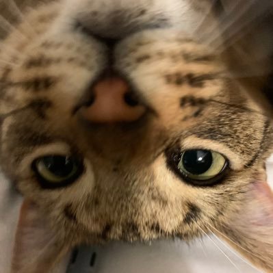 Me myself and I, Alone