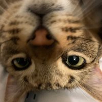 Me myself and I, Alone