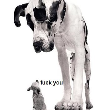 Right Wing, Shoots Left 🇨🇦🏒🥅