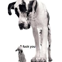 Right Wing, Shoots Left 🇨🇦🏒🥅