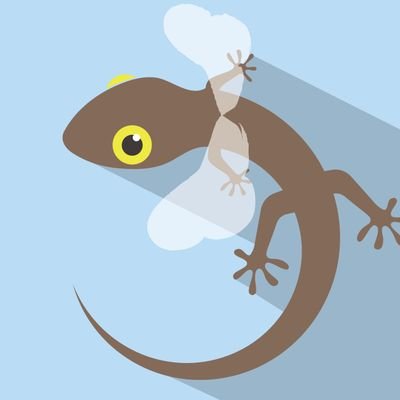 とぶとかげズ🍉