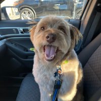 AGM Tuckerrr 🐶🐶🐶