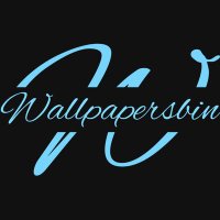 wallpapersbin